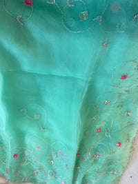 Blue Organza Handwork Saree