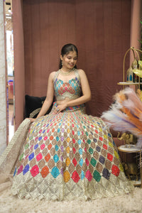 Multicolor Premium And Elegant Net Lehenga For Women
