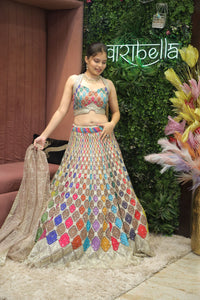 Multicolor Premium And Elegant Net Lehenga For Women