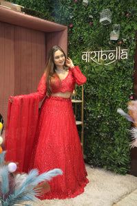 Red Premium And Elegant Net Lehenga For Women
