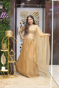 Golden Premium And Elegant Net Lehenga For Women