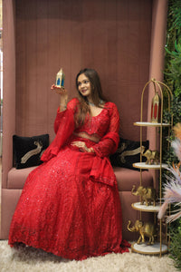 Red Premium And Elegant Net Lehenga For Women