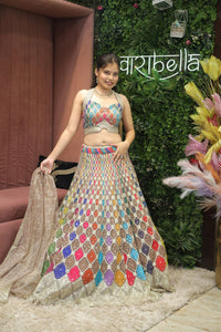 Multicolor Premium And Elegant Net Lehenga For Women